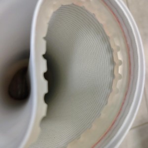 profilo laterale dentato